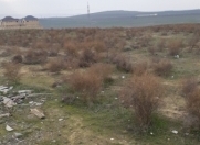 İcarəyə verilir 73 sot torpaq Saray