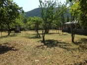 Satılır 1500 sot torpaq Zaqatala