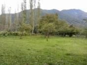 Satılır 9 sot torpaq İsmayıllı