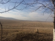 Satılır 900 sot torpaq Göygöl