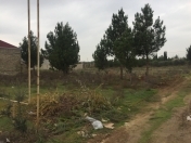 Satılır 11 sot torpaq Ramana