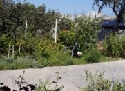 Satılır 5 otaqlı 170 m2 həyət evi Badamdar