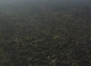 Satılır 250 sot torpaq İsmayıllı