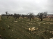 Satılır 53 sot torpaq Masazır