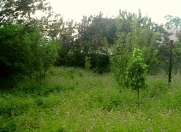 Satılır 6 sot torpaq İsmayıllı