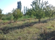 Satılır 500 sot torpaq Xaçmaz