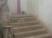 Satılır 4 otaqlı 200 m2 həyət evi Masazır