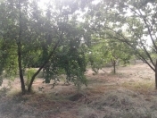 Satılır 6 sot torpaq Göyçay