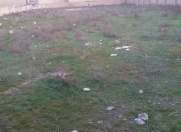 İcarəyə verilir 2 sot torpaq Ramana