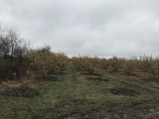 Satılır 110 sot torpaq Xaçmaz