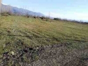 Satılır 11 sot torpaq İsmayıllı