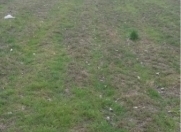 Satılır 150 sot torpaq Xaçmaz