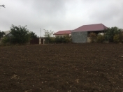 Satılır 25 sot torpaq Tovuz