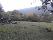 Satılır 12 sot torpaq Quba