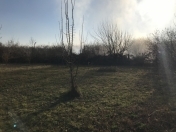 Satılır 16 sot torpaq Balakən