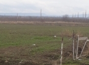 Satılır 142 sot torpaq Quba