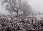 Satılır 12 sot torpaq Qusar