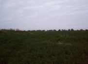 Satılır 5000 sot torpaq Qusar