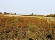 Satılır 36 sot torpaq Qusar