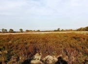 Satılır 36 sot torpaq Qusar