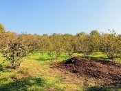 Satılır 50 sot torpaq Xaçmaz