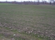 Satılır 600 sot torpaq Xaçmaz