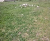 Satılır 6 sot torpaq Quba