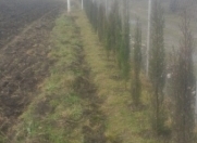 Satılır 250 sot torpaq İsmayıllı