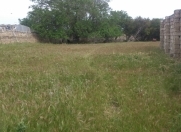 Satılır 14 sot torpaq Buzovna