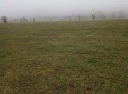 Satılır 72 sot torpaq Quba