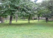 Satılır 15 sot torpaq Quba