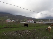 Satılır 12 sot torpaq İsmayıllı