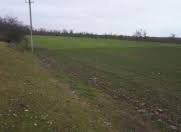 Satılır 9500 sot torpaq Xaçmaz