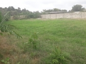 Satılır 8 sot torpaq Masazır