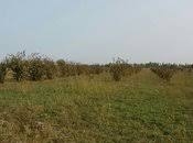Satılır 300 sot torpaq Xaçmaz