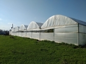 Satılır 24 sot torpaq Şabran