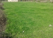 Satılır 12 sot torpaq Xaçmaz