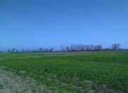 Satılır 9500 sot torpaq Xaçmaz