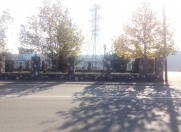 Satılır 2 sot torpaq Qusar