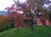 Satılır 12 sot torpaq Quba