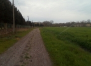 Satılır 500 sot torpaq Xaçmaz