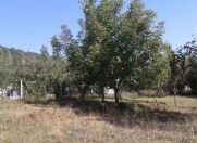 Satılır 12 sot torpaq Qusar