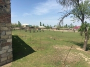 Satılır 20000 sot torpaq Gəncə