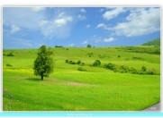 Satılır 28 sot torpaq Ağdaş