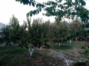 Satılır 5 sot torpaq Xaçmaz