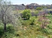 Satılır 12 sot torpaq Albalı