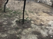 Satılır 3 sot torpaq Biləcəri