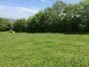 Satılır 12 sot torpaq Şabran