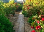 Satılır 30 sot torpaq Bilgəh