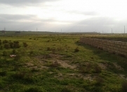 Satılır 4 sot torpaq Masazır